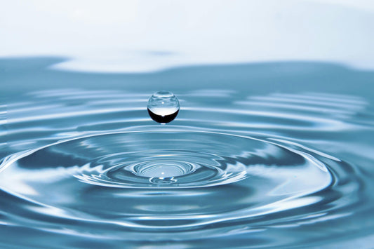 Professional Janitorial Services for Businesses in Reno Nevada